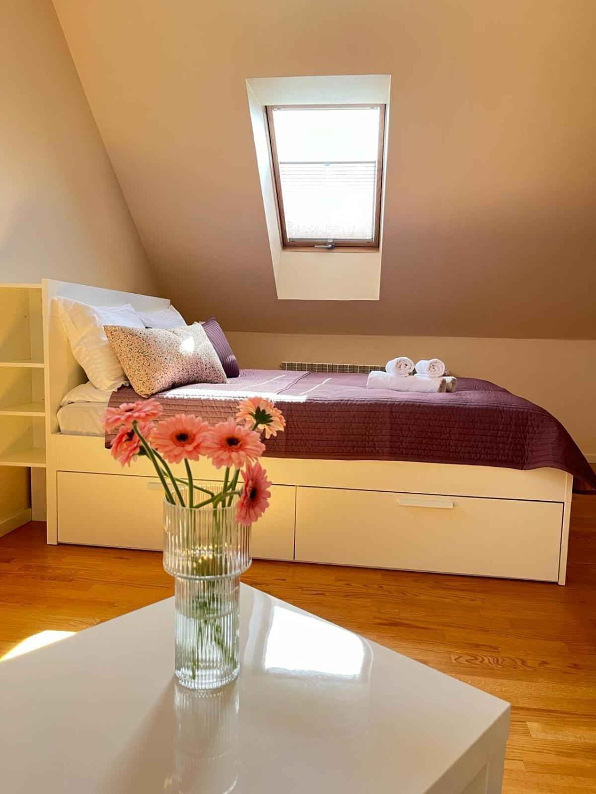 Apartament W Zielonej Dolinie Zygodowice 외부 사진